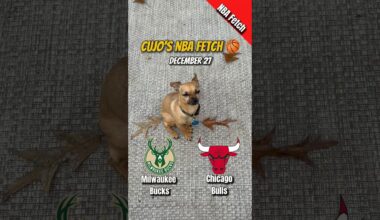 Cujo’s NBA Fetch | Bucks vs Bulls 🐕 12-27-2025 NBA Basketball