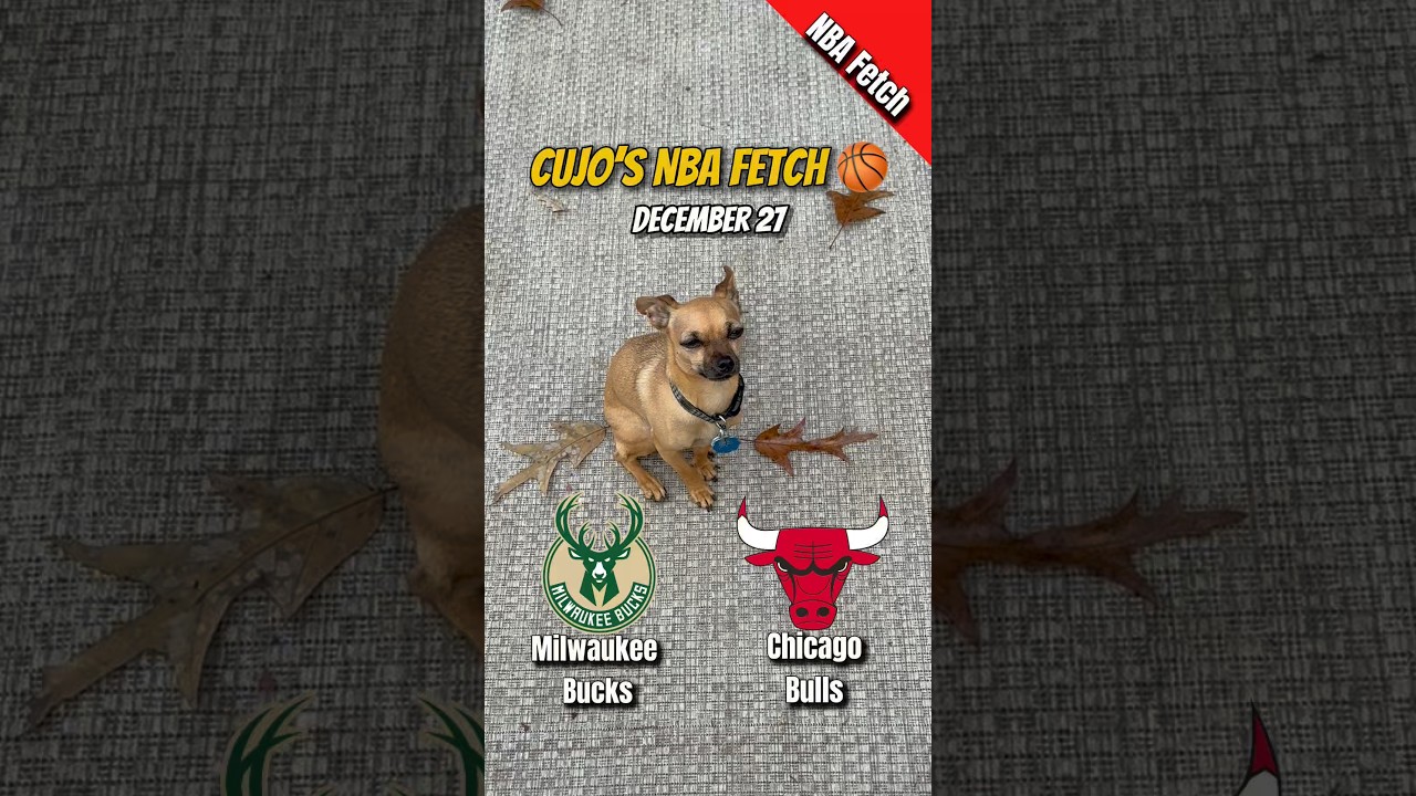 Cujo’s NBA Fetch | Bucks vs Bulls 🐕 12-27-2025 NBA Basketball