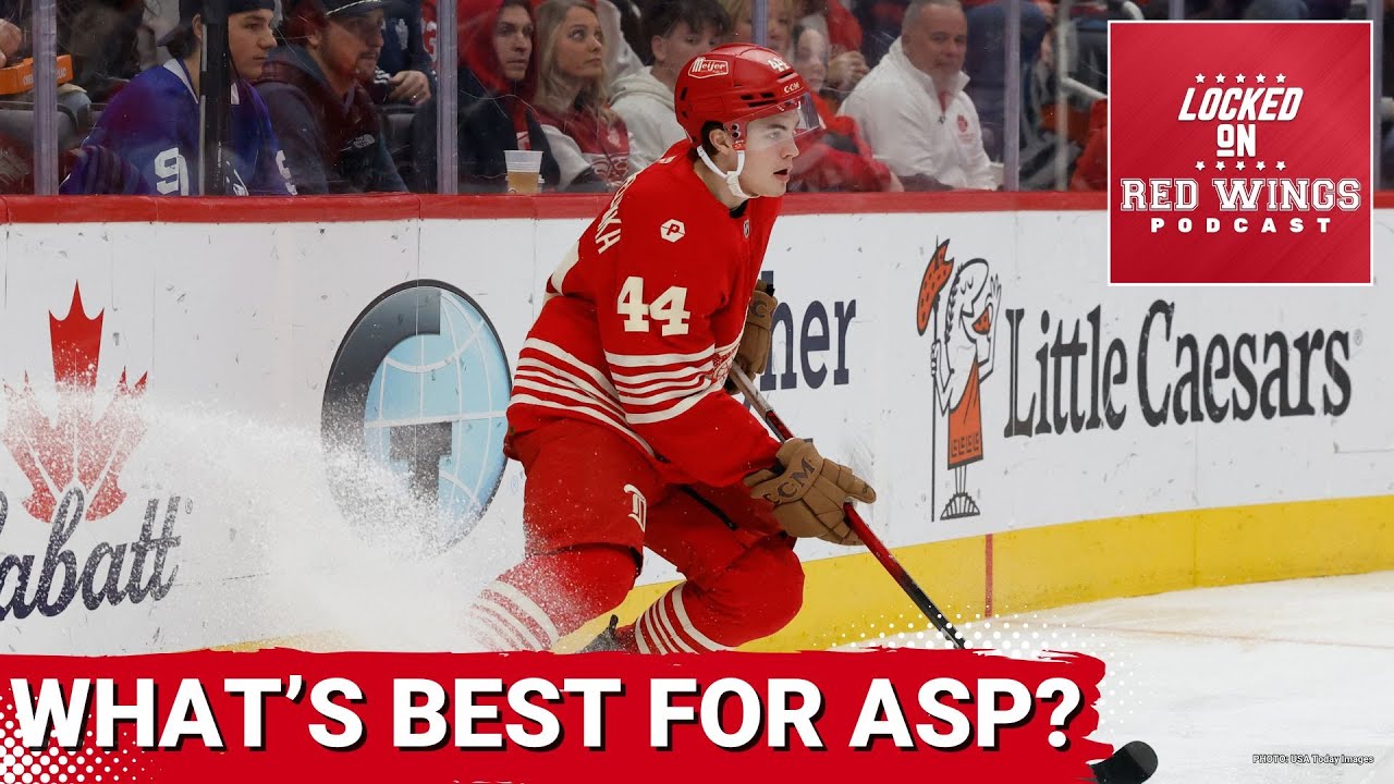 Axel Sandin-Pellikka is producing but becoming more sheltered |  McLellan's 1-year anniversary