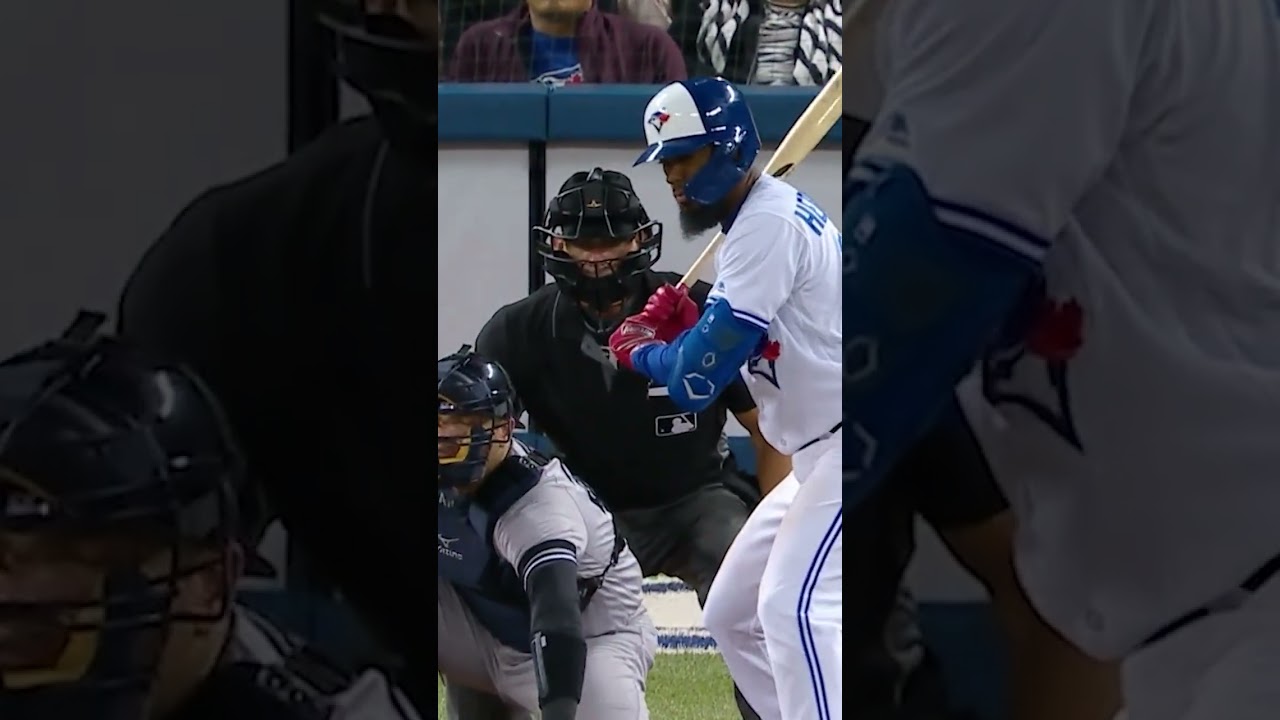 fly like a butterfly 🦋