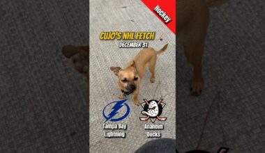 Cujo’s NHL Fetch | Tampa Bay Lightning vs Anaheim Ducks 🐕 12-31-2025 NHL Hockey