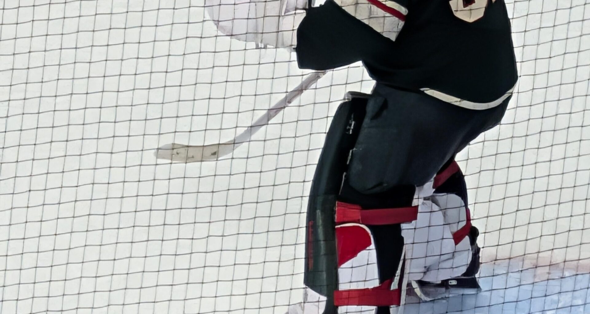 Today was my first Wild game