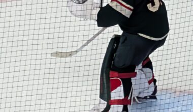 Today was my first Wild game