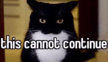 Maxey played 42 minutes in regulation. Please don’t run my prince into the ground…