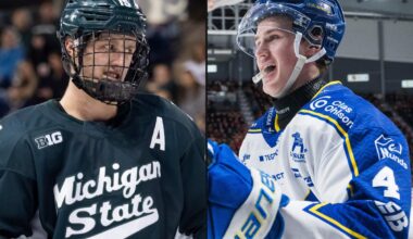 NHL future watch: Who’s the fastest-rising prospect in each team’s pipeline?