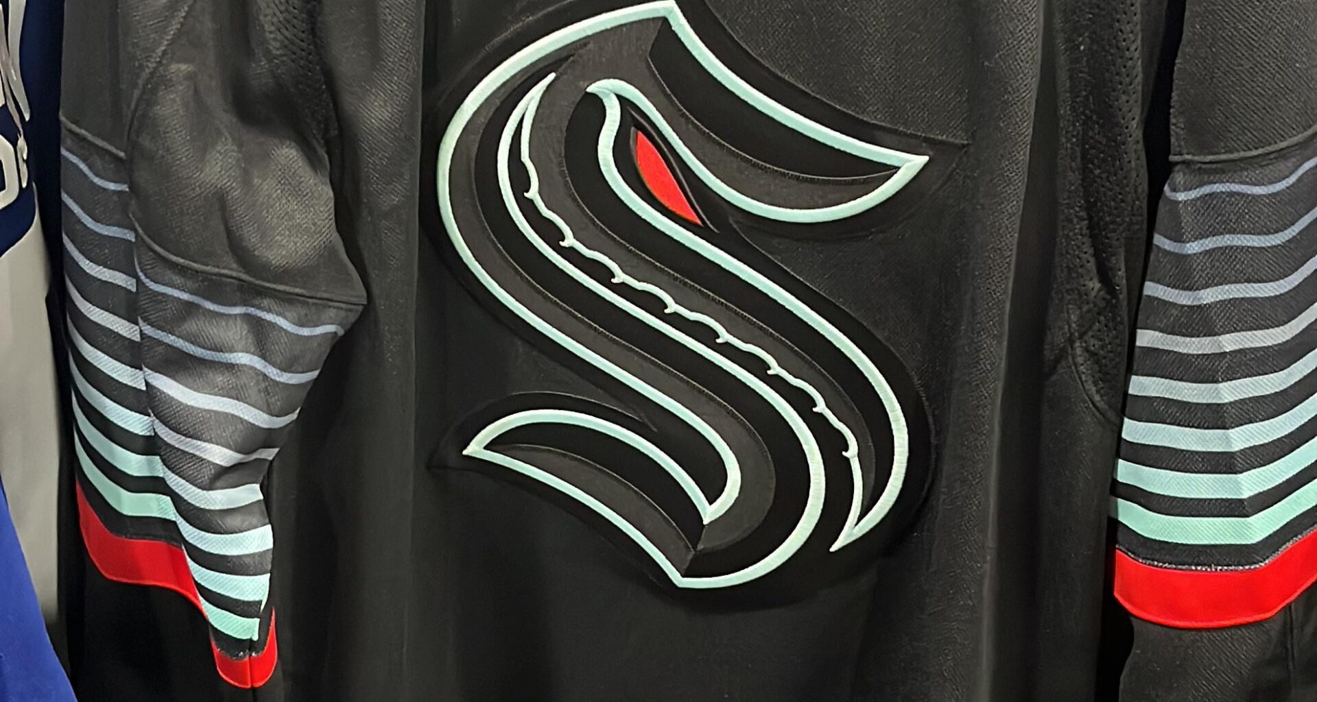 Premium third jerseys for $200 CAD at Pro Hockey Life