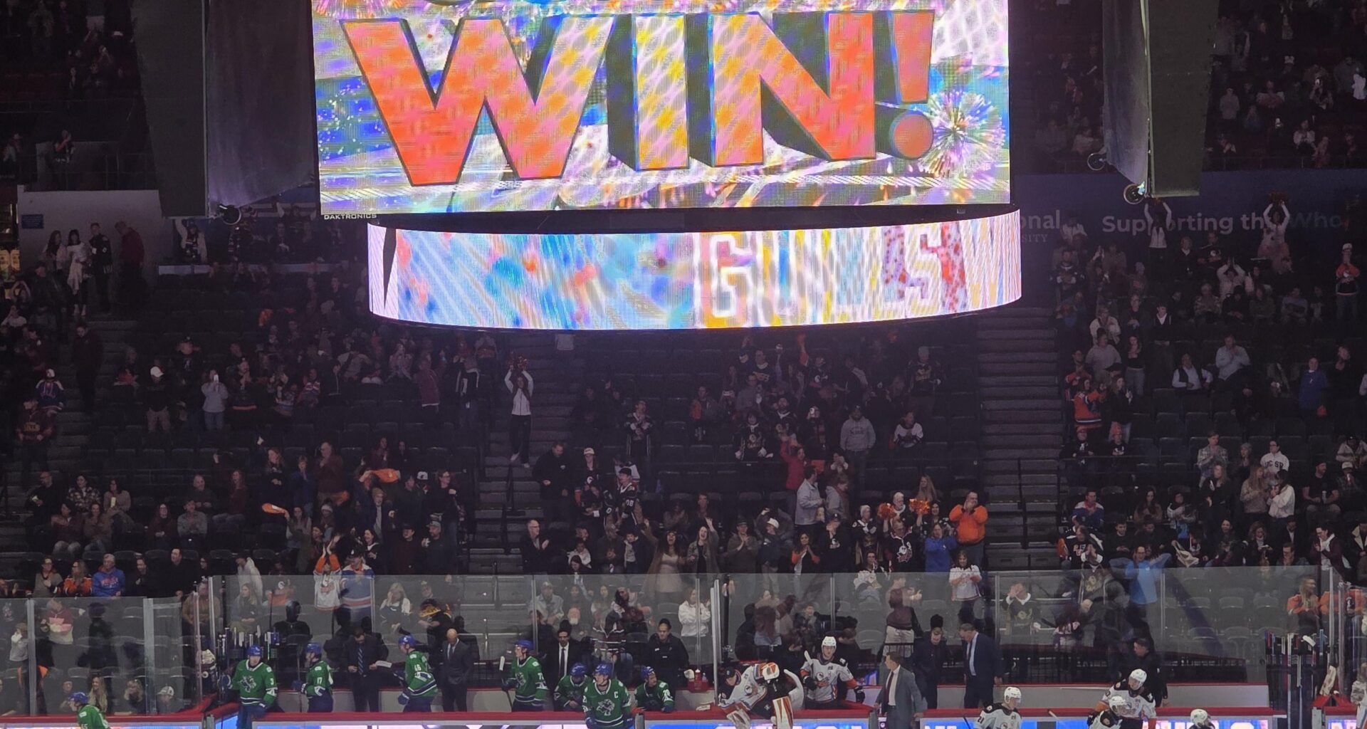 I went to my first ever hockey game (San Diego Gulls) and it was awesome