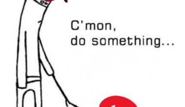 Besides re-signing Schwarber (Thank the lord we got it done,) what other moves would you like to see?