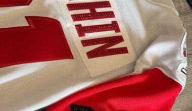 Bedazzling my Niki sweater