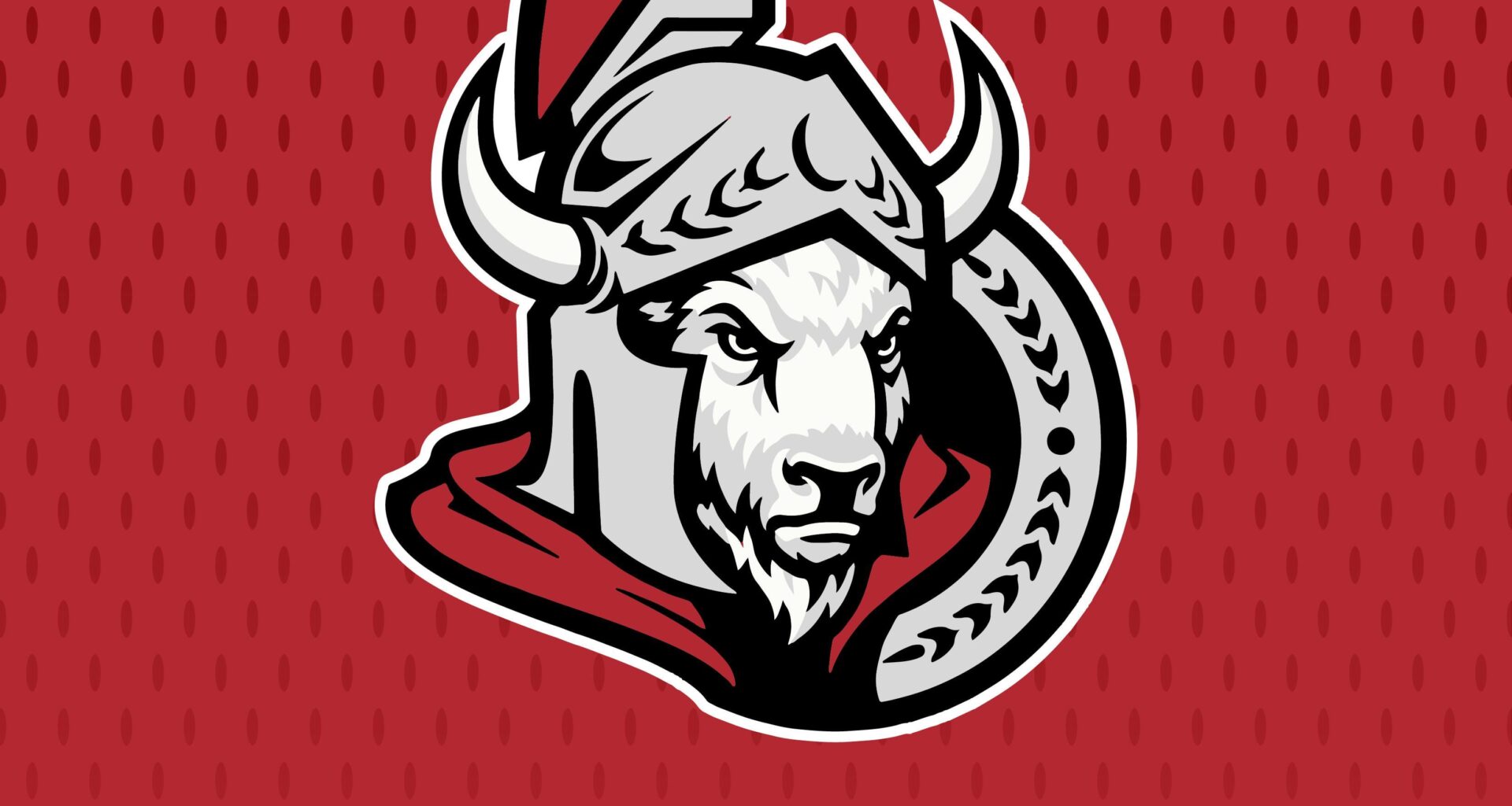 Sabres Stolen Identities 2025/2026: Game 36 - Ottawa Senators