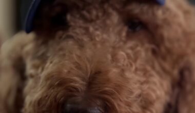 Cooper says LET'S GO BOLTS!