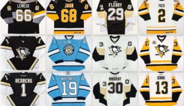 Here are the game worn jerseys I added to my collection this year!