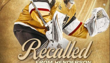 Vikman (Goalie) Recalled from HSK