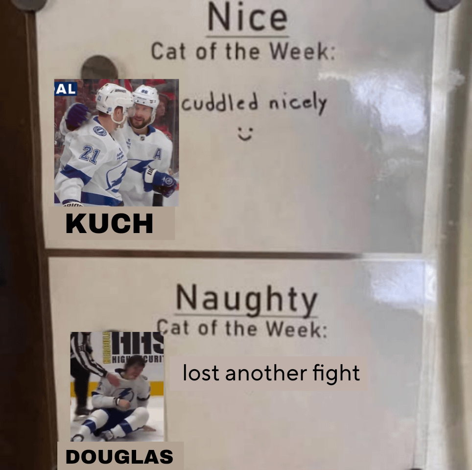 Nikita Kucherov has been named Nice Cat of the Week