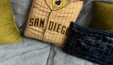 My mom turned this jersey that was too big for me into a really cool pillow for Christmas.