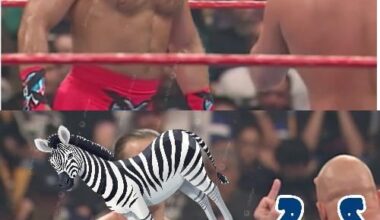 It’s week 14. Down with the Zebras…(and also Jacksonville)