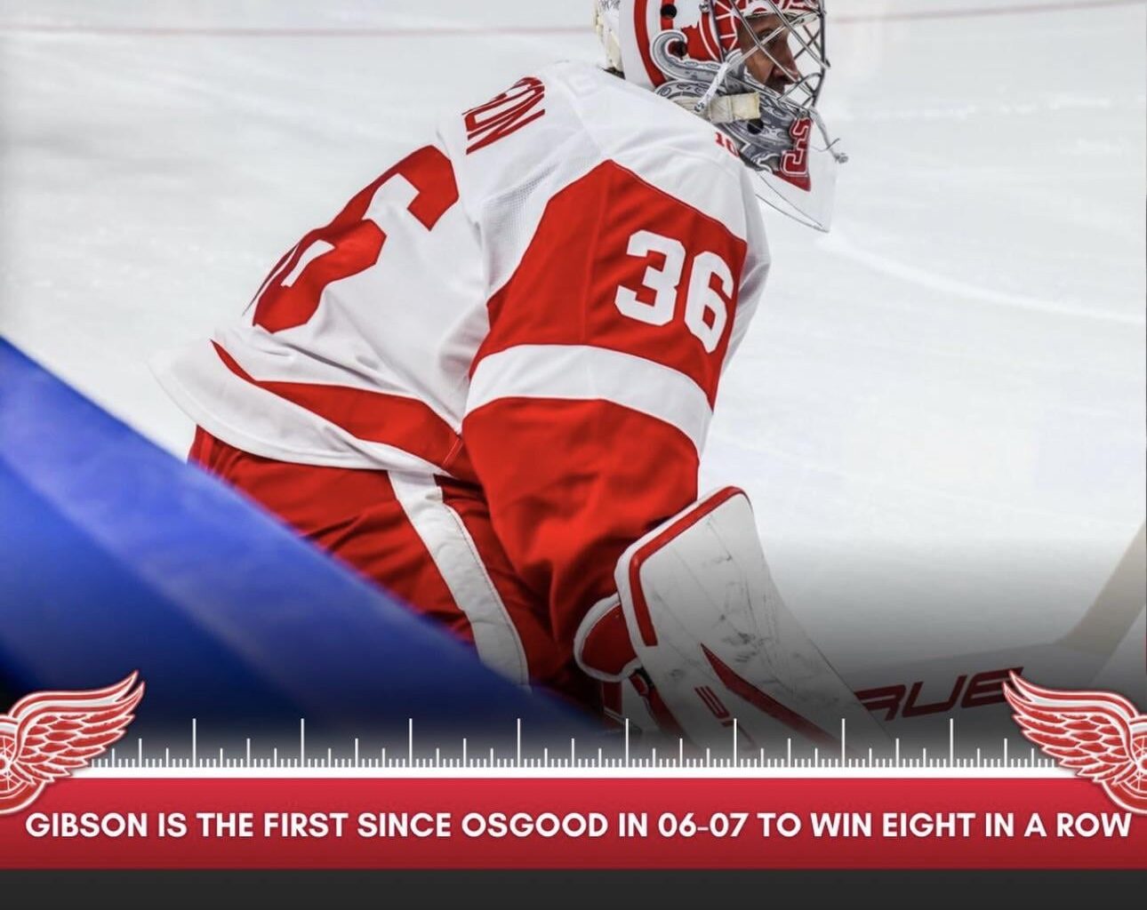 Gibby has had quite the turnaround this year