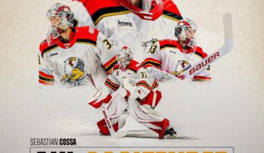 Sebastian Cossa was just named goaltender of the month in the AHL