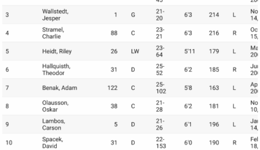 Upside Hockey's Minnesota Wild Top 10 NHL Prospects