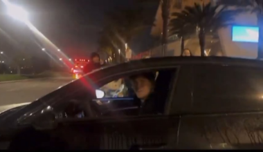 Herbert: loves the fans, HATES the media