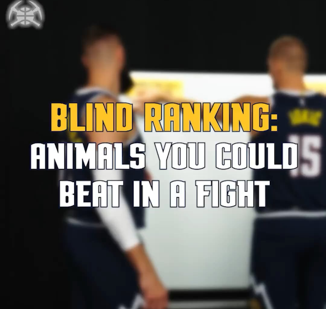 Animals you could beat in a fight, Nuggets edition😂