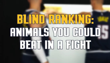 Animals you could beat in a fight, Nuggets edition😂