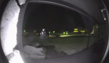 Delivery driver not a bills fan