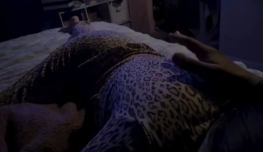 Every Patriots fan this season!!