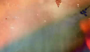 Joey Votto reads stories about himself (Non-Paywalled Video)