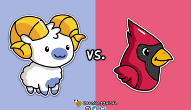 Los Angeles Rams Week 14 Matchup Doodle :)