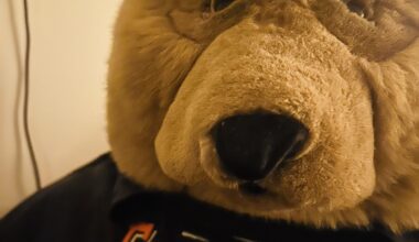 how’s everybody doing