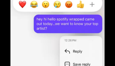 [Wild] Spotify Wrapped drop day is truly an international holiday