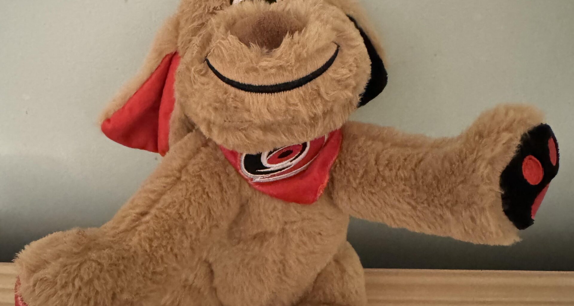 Can we talk about how this is $30?? Of course my kid wanted something and this was the cheapest thing I could find