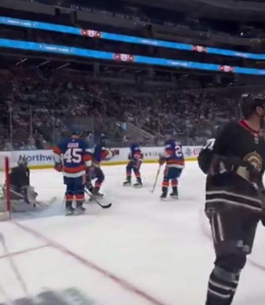 Rick DiPietro does a 6 7 celly after scoring a goal to tie the game up at 2-2!
