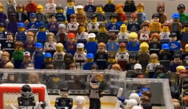 Lego browny taking out Sedin