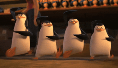 RAHEEM AND ZAC ROBINSON WILL BE UNEMPLOYED SOON