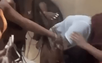 Rent free in their heads, all day every day