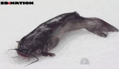 Your weekly /r/predators roundup for the week of December 11 - December 17, 2025