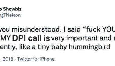 Colts fans this week: