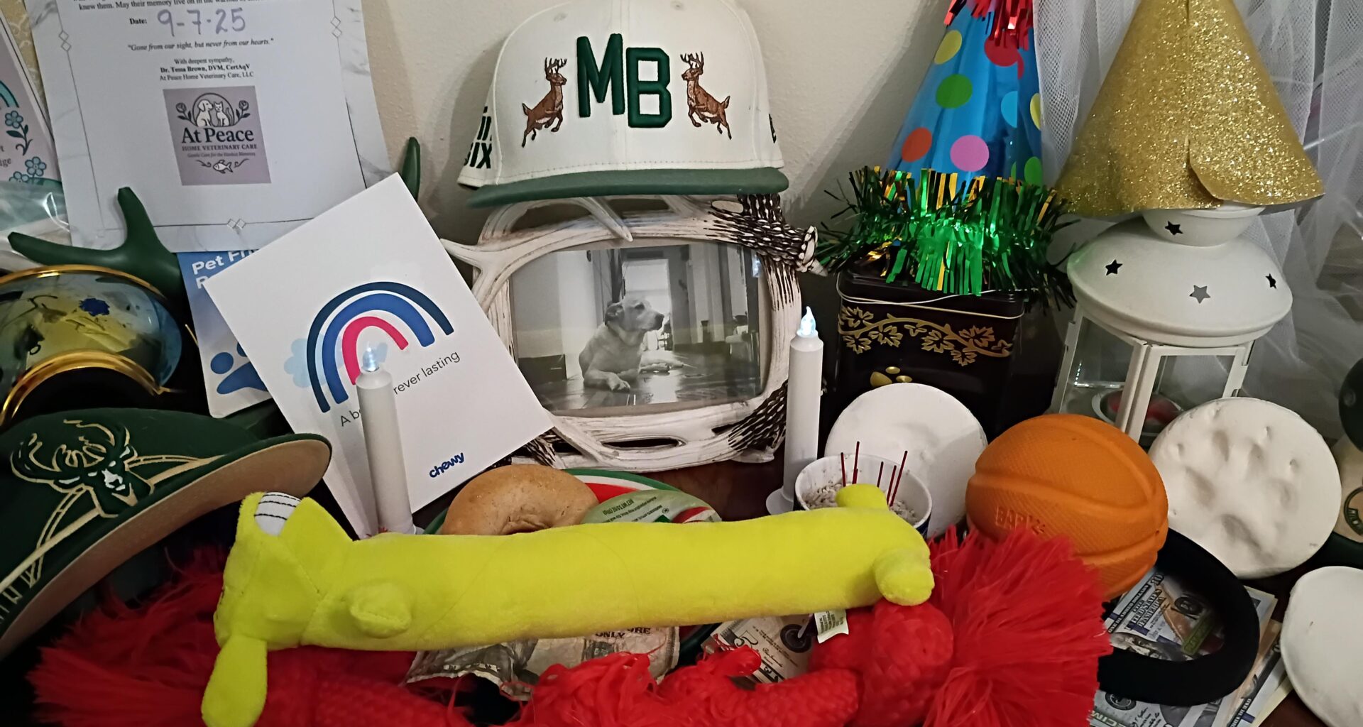 Adding more offerings to Dogfred's memorial until we get that dawg back.