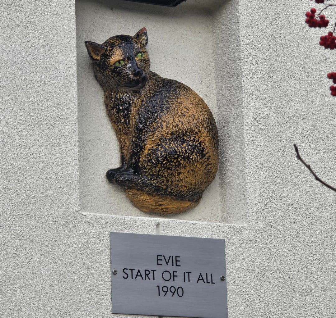 Stopped by ARF today.