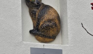 Stopped by ARF today.