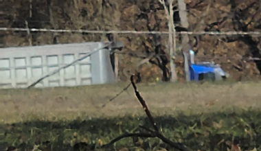 Heat Waves in Winter