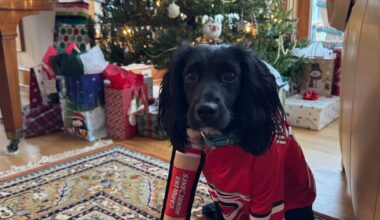 She’s a true Caniac now.