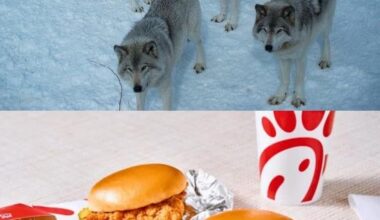 Future pic of me and the boys tomorrow