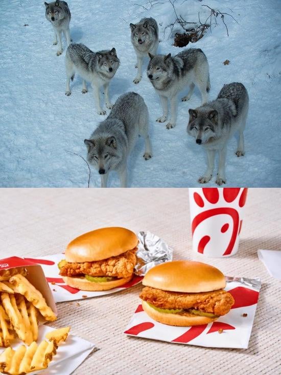 Future pic of me and the boys tomorrow