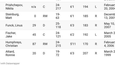 Colorado Avalanche Top 10 NHL Prospects