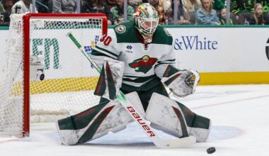 Jesper Wallstedt named NHL Rookie of the Month for November