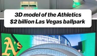 What is this an Arena for Ants? It needs to be atleast 3 times bigger than this!