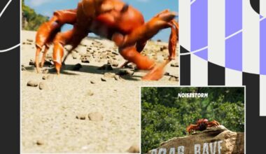 Crab Rave was my top song of the year thanks to the pacers.